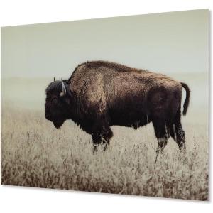 Signature Design by Ashley Brutus Rustic Glass American Bison Canvas Wall Art, 48 x 36, Brown