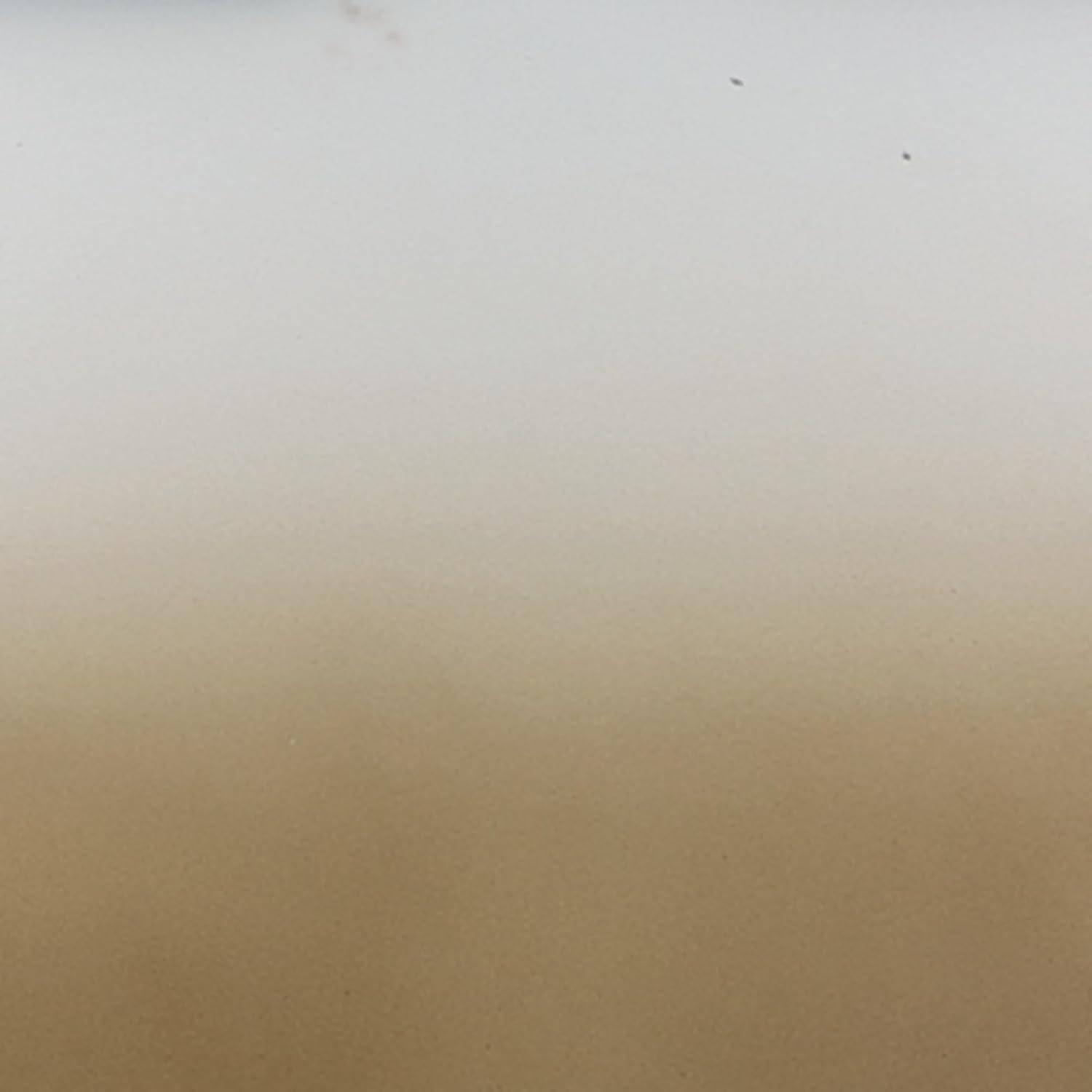 imageSignature Design by Ashley Acario Traditional Frosted Glass Jar with Cast Aluminum Topper Light Brown amp Metallic4186 Ounces