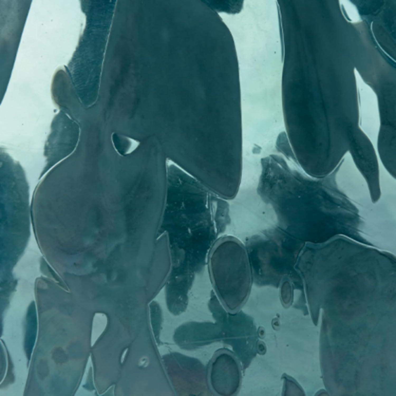 imageSignature Design by Ashley Cartshaw Contemporary Abstract Watertight Glass 663 Vase GreenGreen